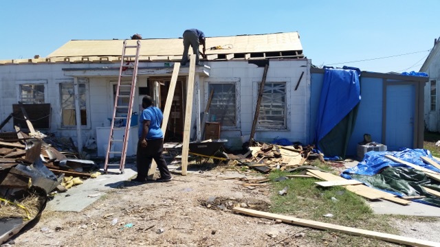 'Bobcats Helping Bobcats' needs seen