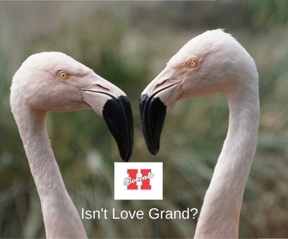 Valentine's Day gift guides set