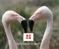 Valentine's