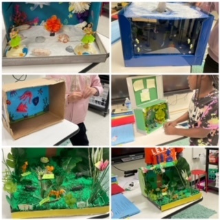 More 3rd Grade Habitat Dioramas! | Hope Public Schools