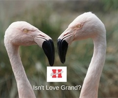 Valentine's