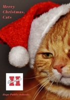 HPS packs holidays with cheer