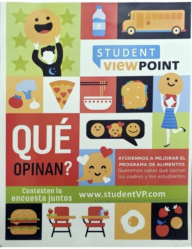 Spanish student survey