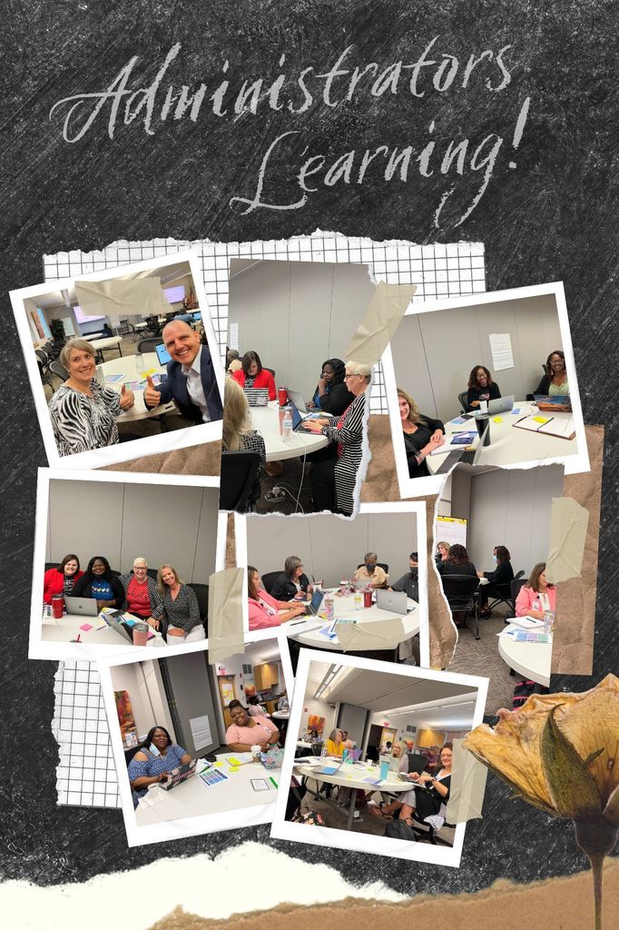 photos from udl training
