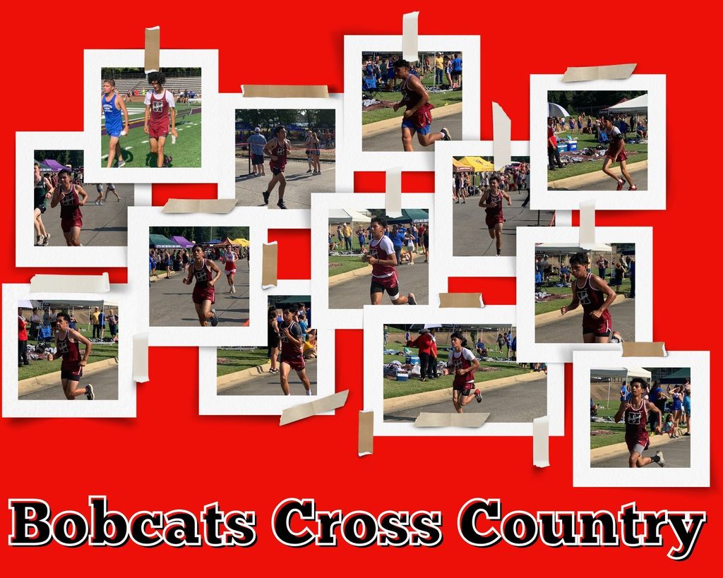 bobcats cross country