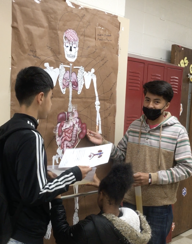 Students Demonstrate Working Urinary System