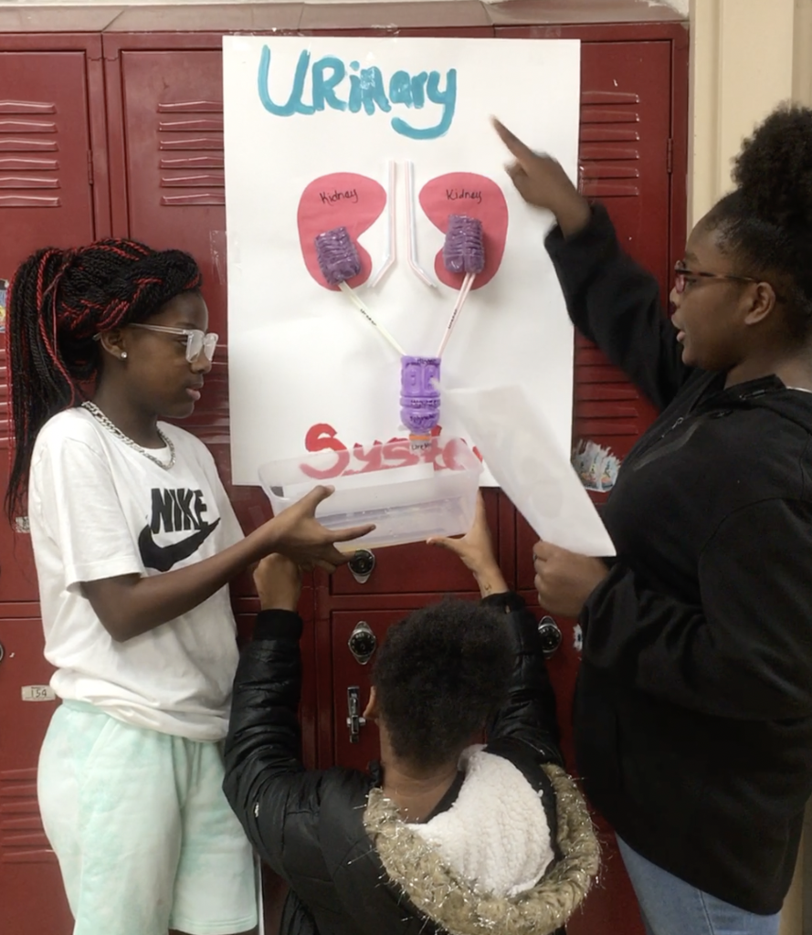 Students Demonstrate Working Urinary System