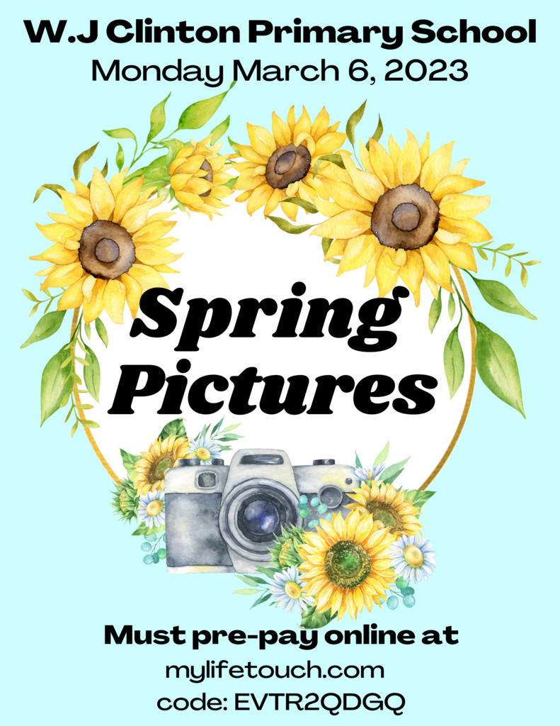 Spring Picture Information