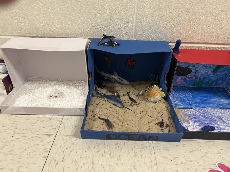 Animal Habitat Displays Shared with Parents! | Hope Public Schools