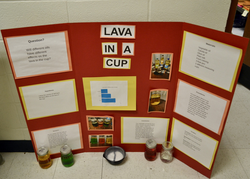 Clinton Primary Science Fair Showcase! 